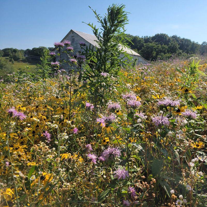 Greenport's Coastal Flower Haven
