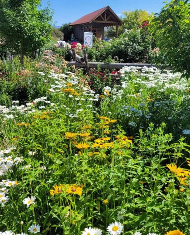 Finding Joy In Unexpected Garden Surprises