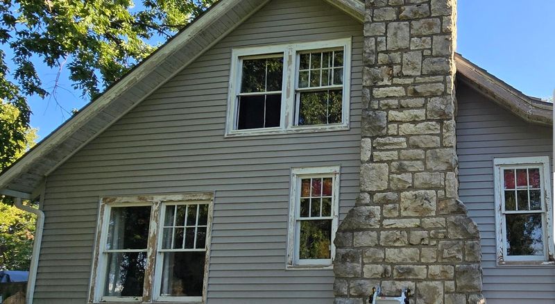 Preventative Algae-Resistant Paint