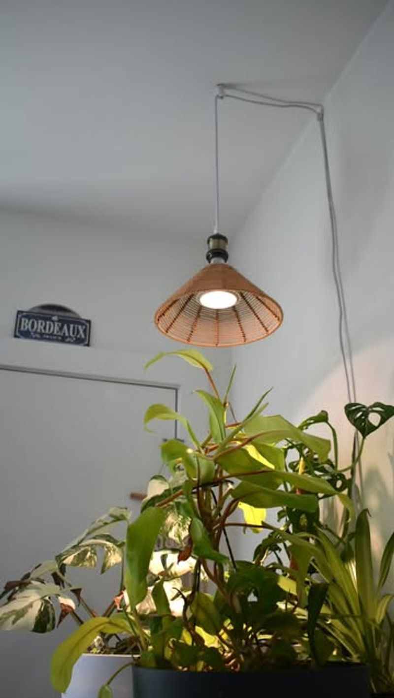 Decorative Plant Chandelier