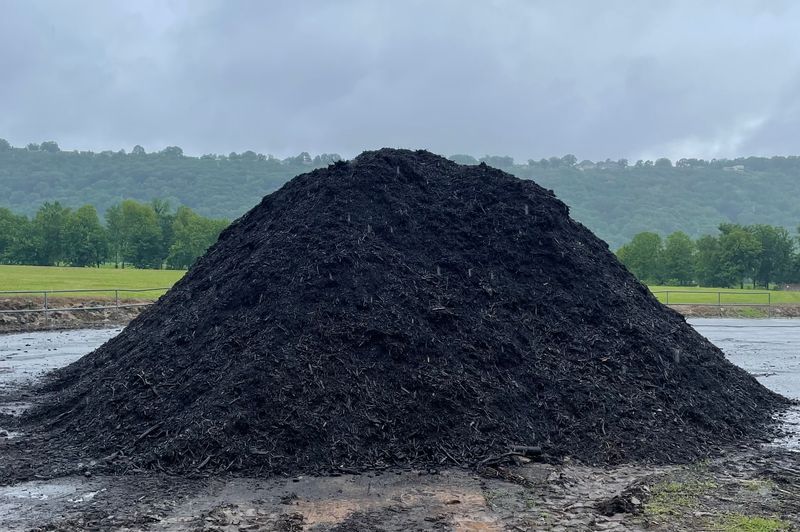 Municipal Mulch Madness