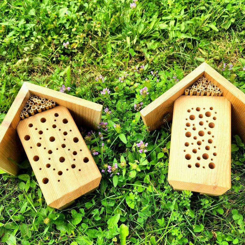 Install Bee Houses In Protected Locations