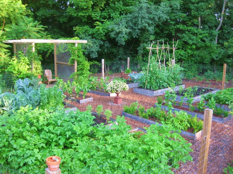 Connect With Local Gardeners To Share Microclimate Data