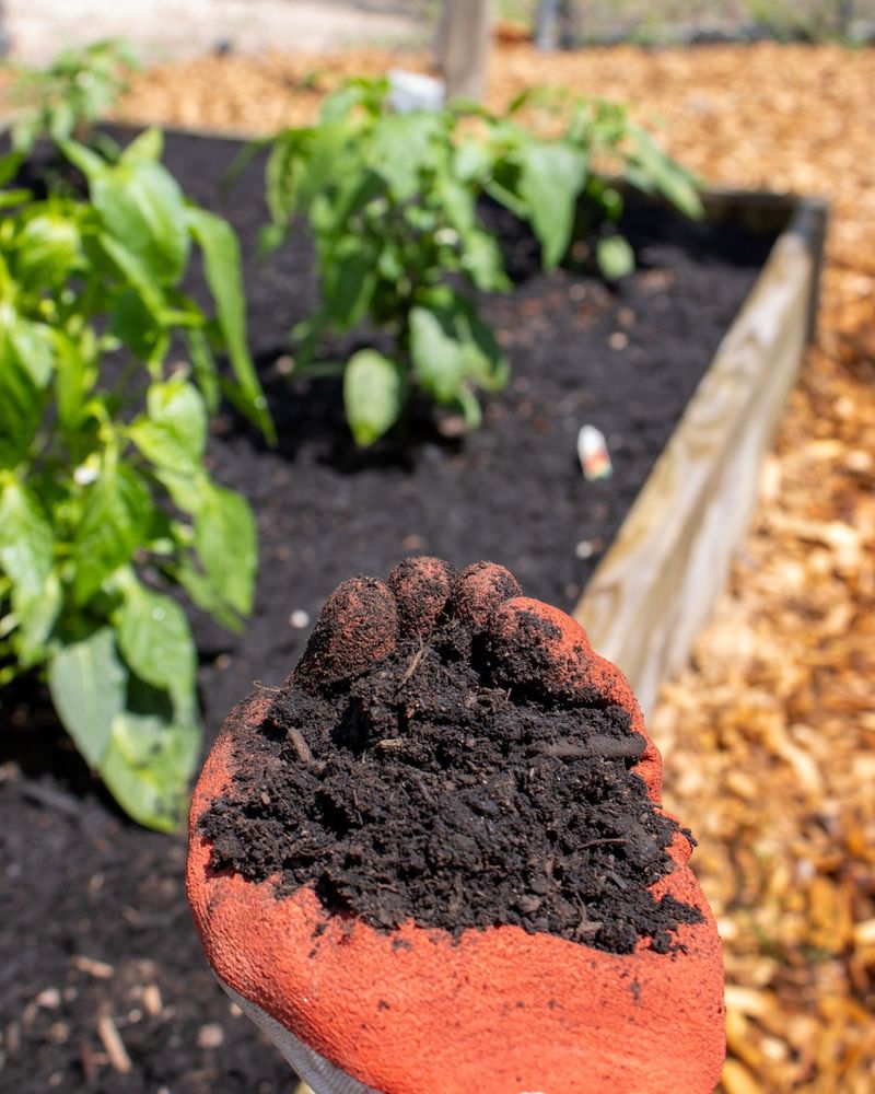 Apply Mulch To Retain Soil Structure