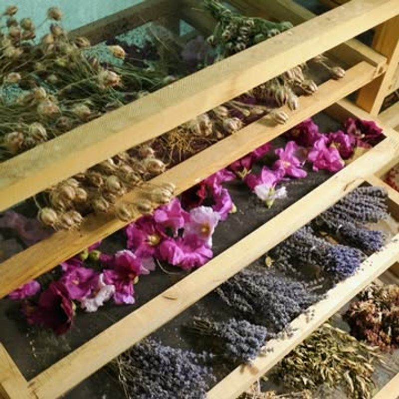 Master The Art Of Air-Drying