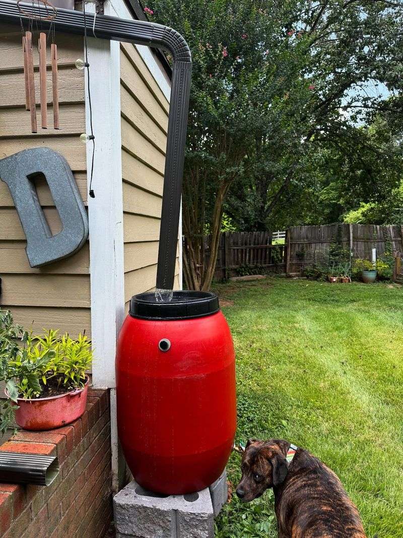 Collect Rainwater To Save Money And Plants