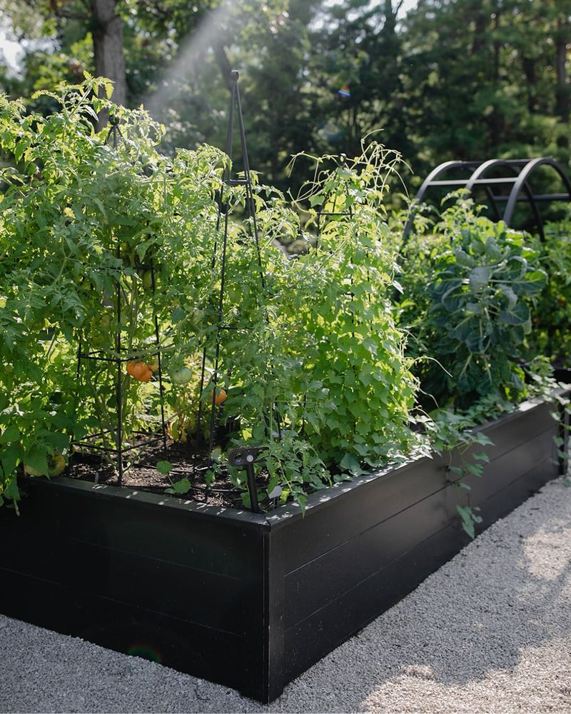Practice Succession Planting For Year-Round Harvests