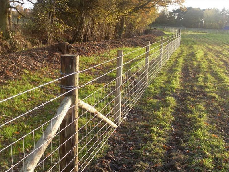 Block Entry Points