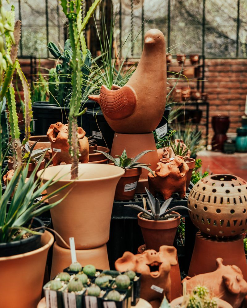Add Desert-Friendly Accents