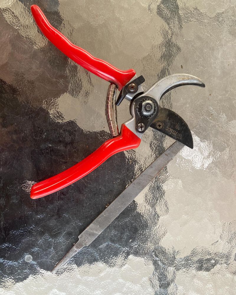 Sanitize Garden Tools Between Plants