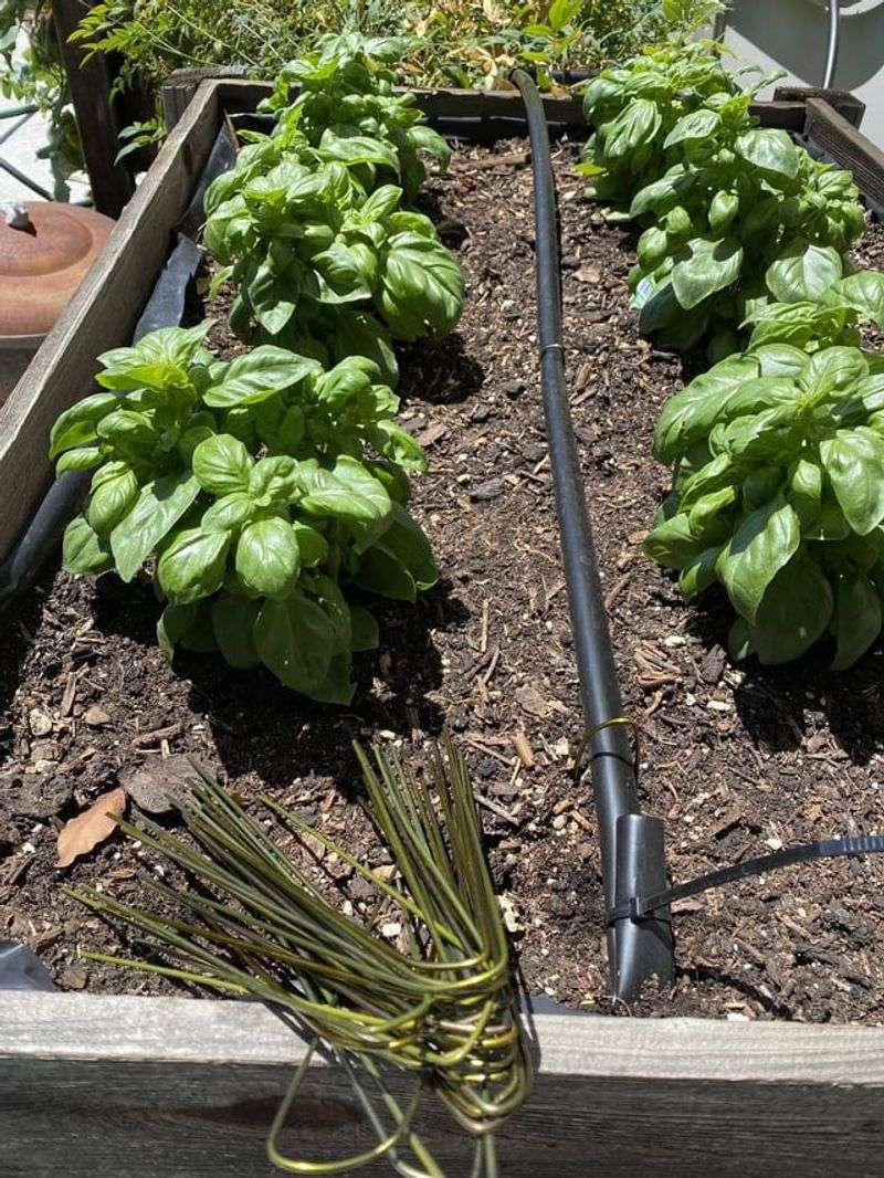Install Efficient Irrigation