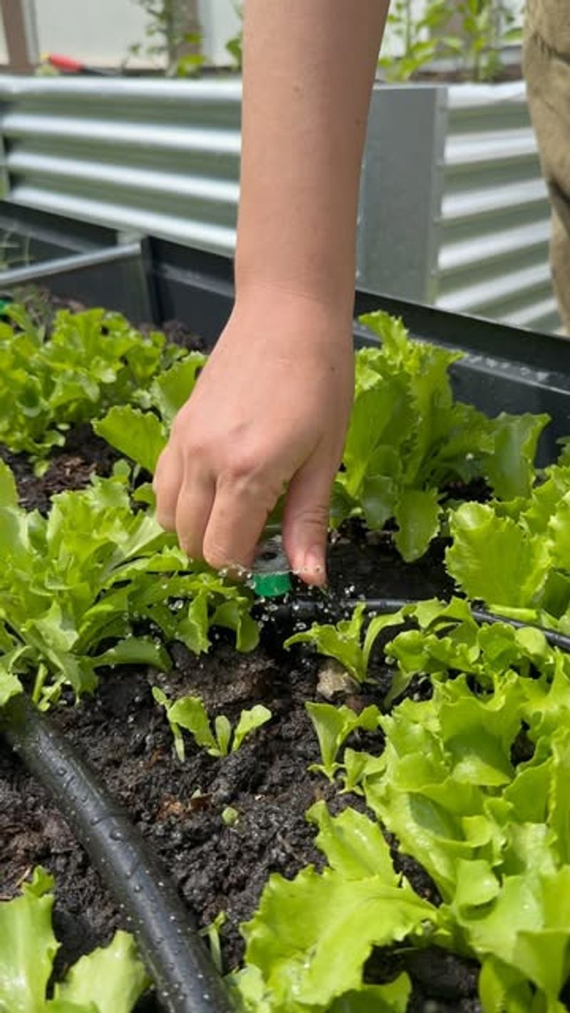 Install A Simple Irrigation System