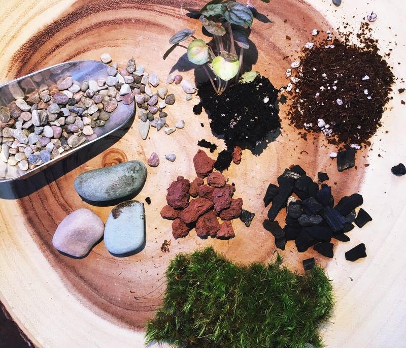 Add Activated Charcoal