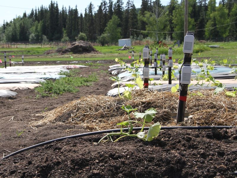 Manage Soil For Northern Conditions