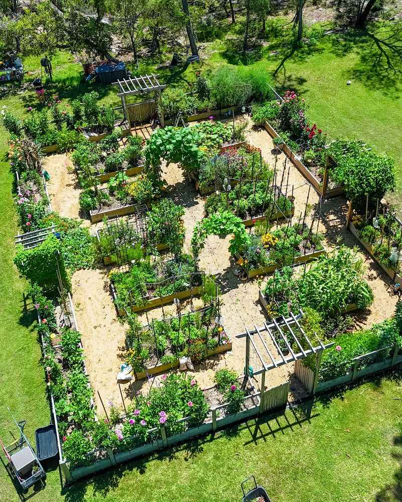Plan Next Year's Garden