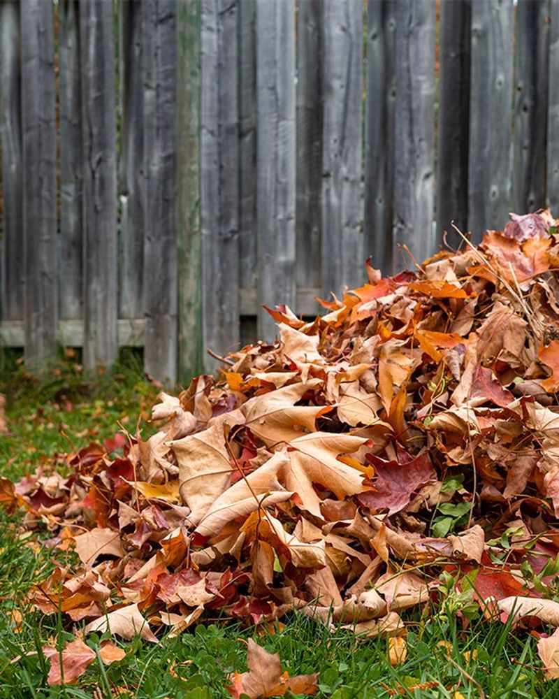 Clean Garden Debris