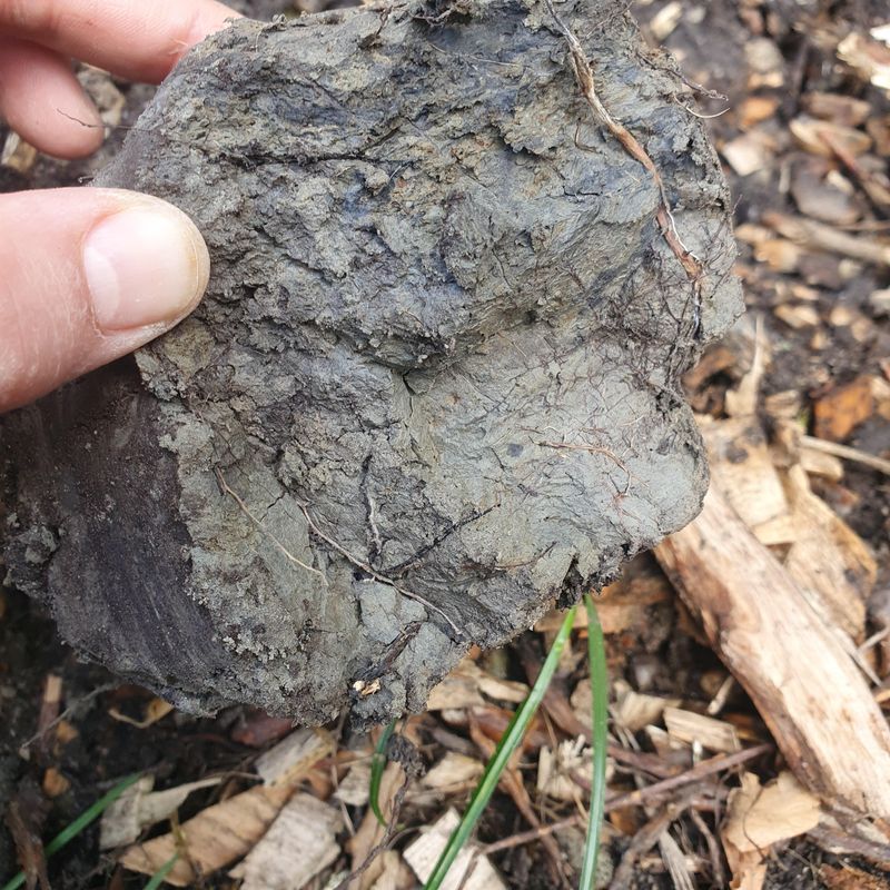 Balance Soil Moisture With Clay Amendment