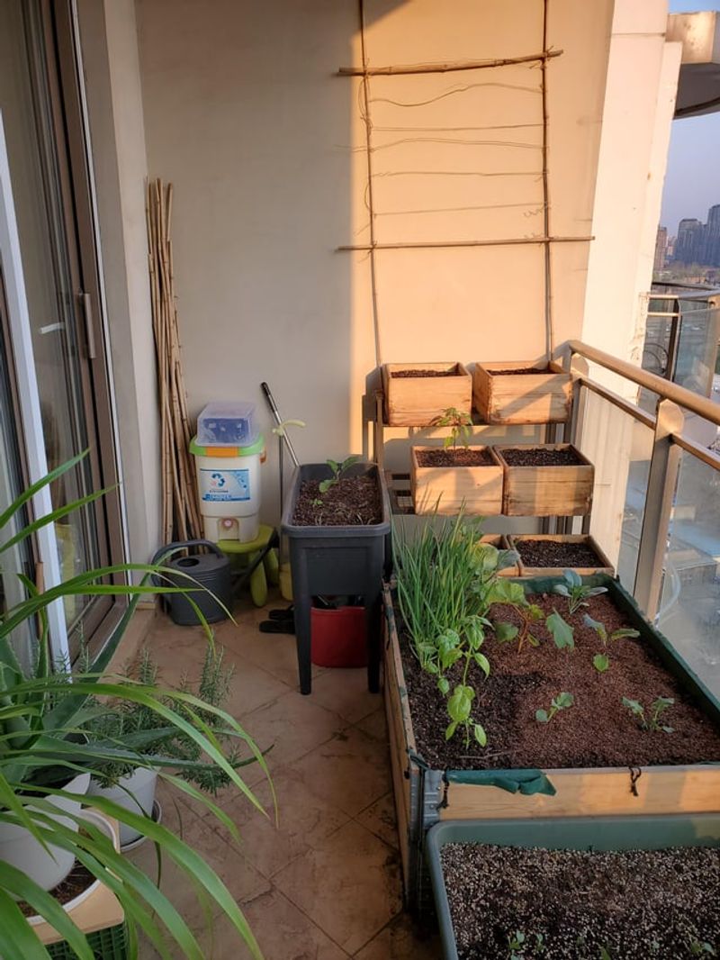 Group Plants Strategically