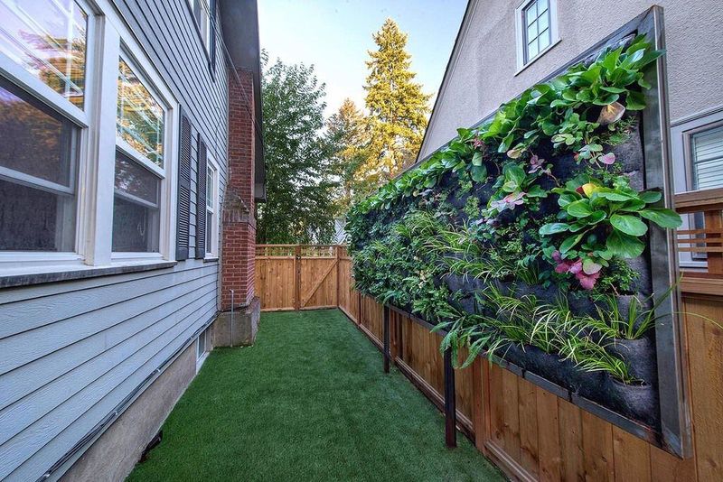 Turning Fence Lines Into Edible Walls