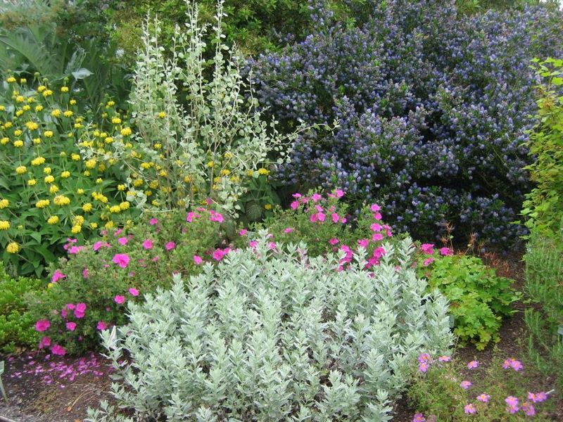 Reducing Garden Maintenance Workload