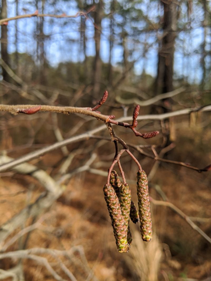Unexpected Growth Locations