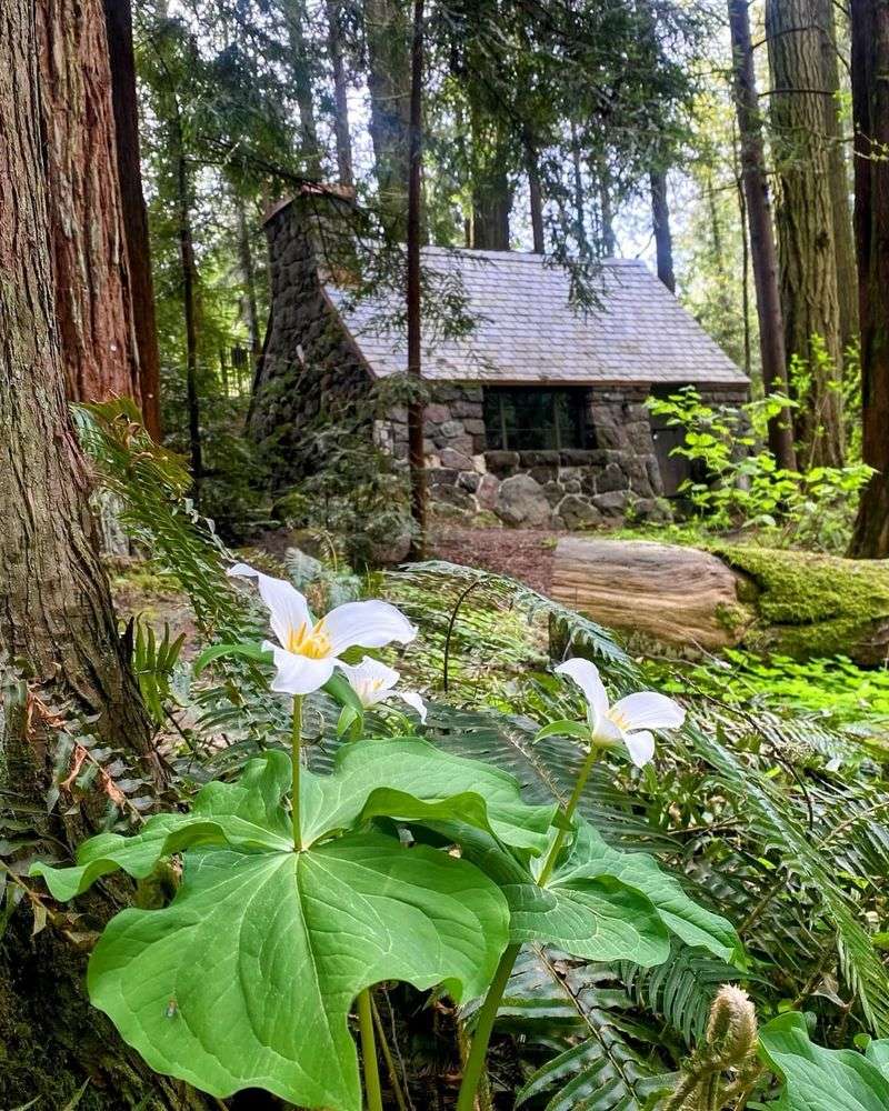 Leach Botanical Garden: A Woodland Sanctuary