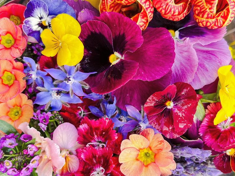 Edible Flower Assortments