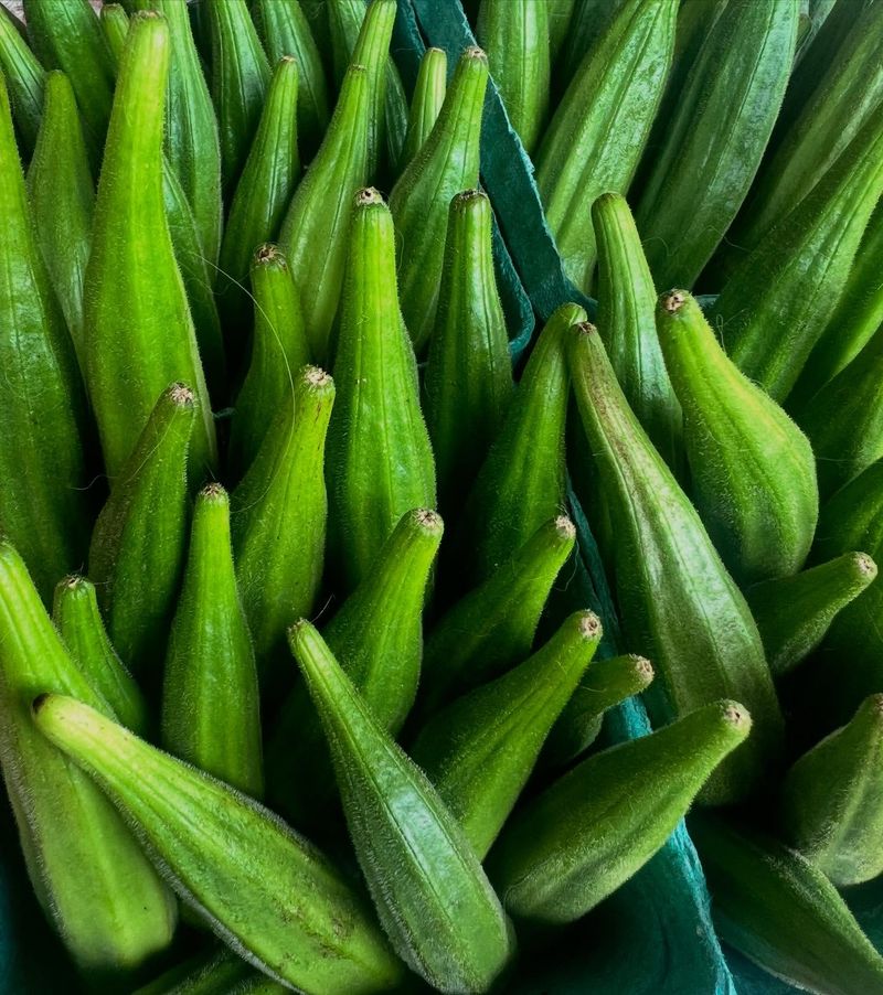 Okra