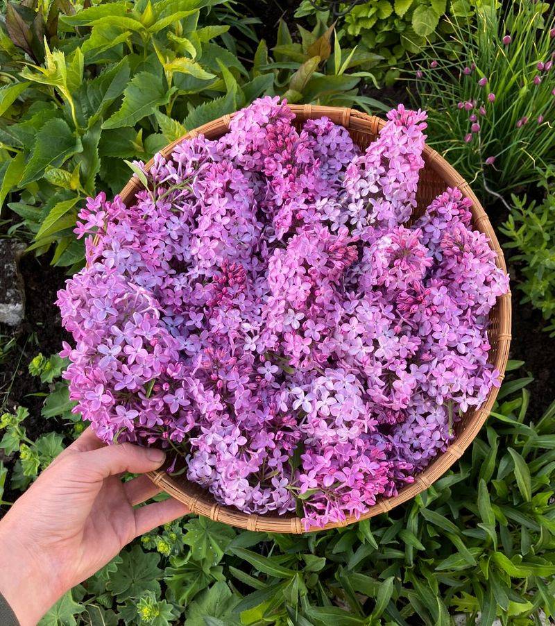 Air-Drying Maintains Natural Beauty