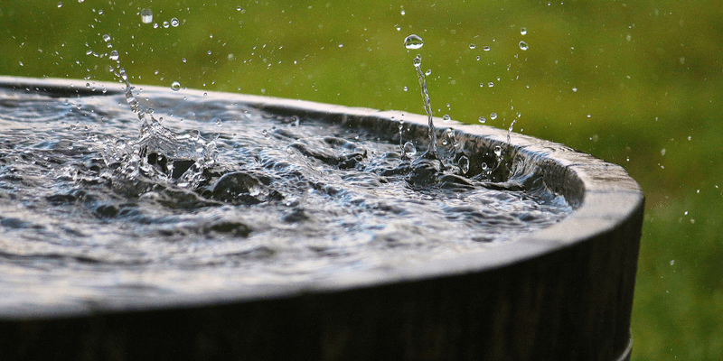 Rain Barrel Water Collection