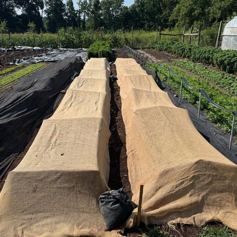 Row Cover Magic For Pennies Per Foot