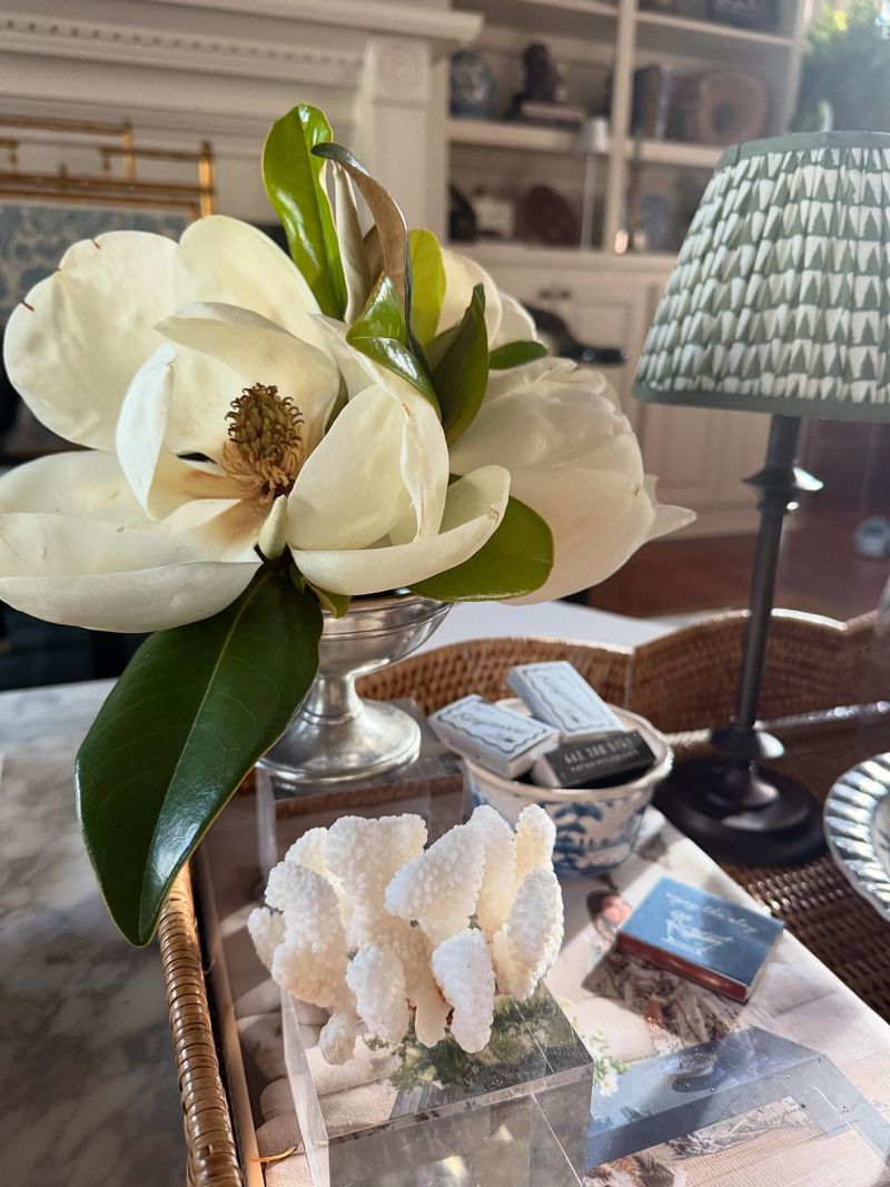 Magnolias: Audubon's Southern Belle