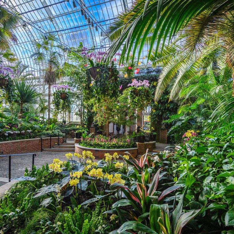 Tropical Forest Conservatory