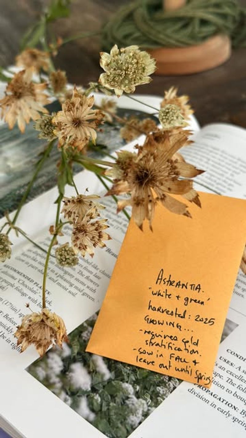 Seed Saving Ceremonies