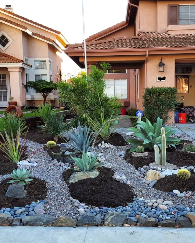 Overgrown Cactus Gardens