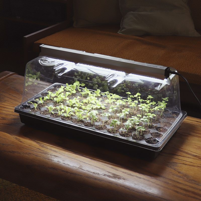 USB-Powered Mini Grow Light