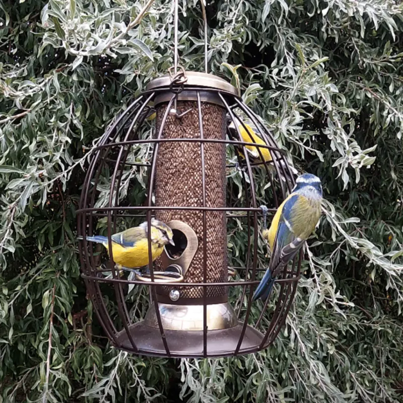 Cage-Style Feeders Allow Only Feathered Friends