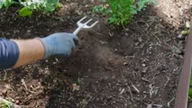 Mulch Application