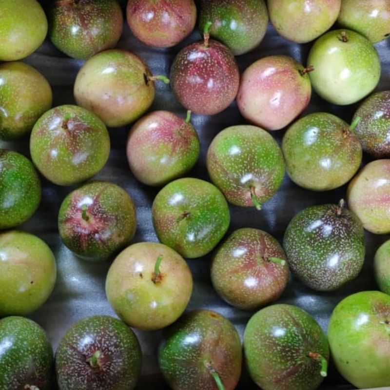 Exotic Passion Fruit