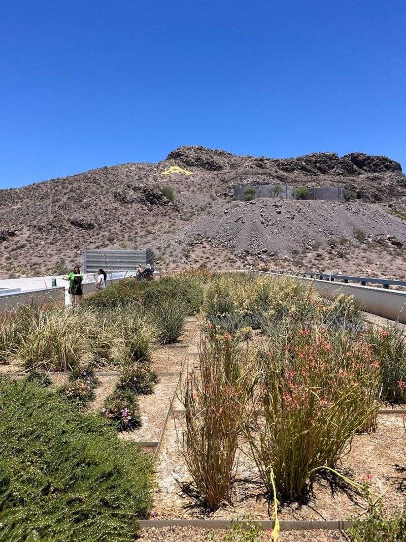 Sonoran Food Forest