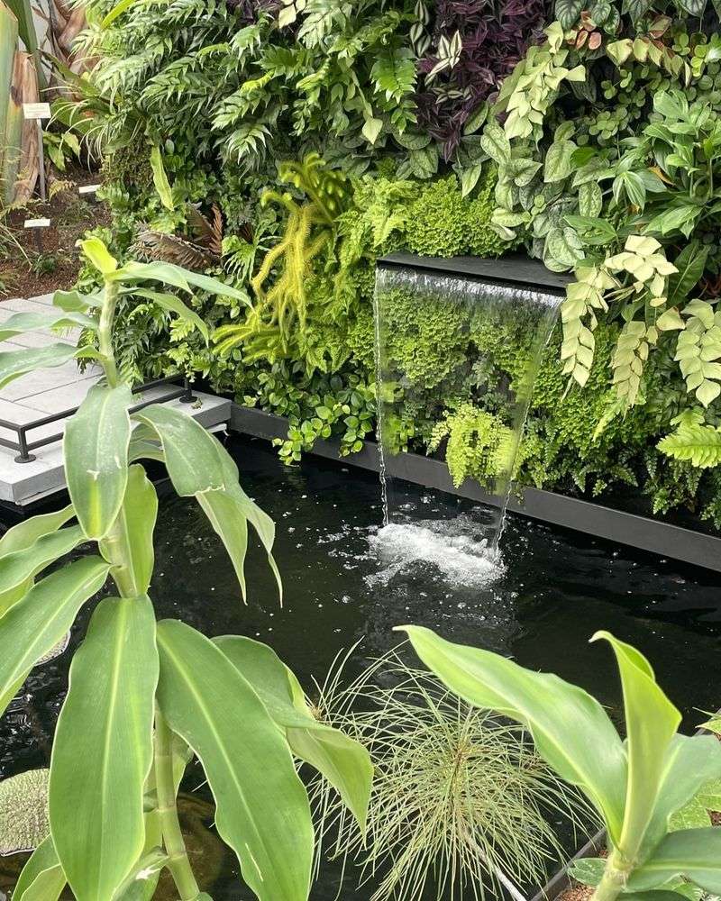 Tropical House Explodes With Rainforest Diversity