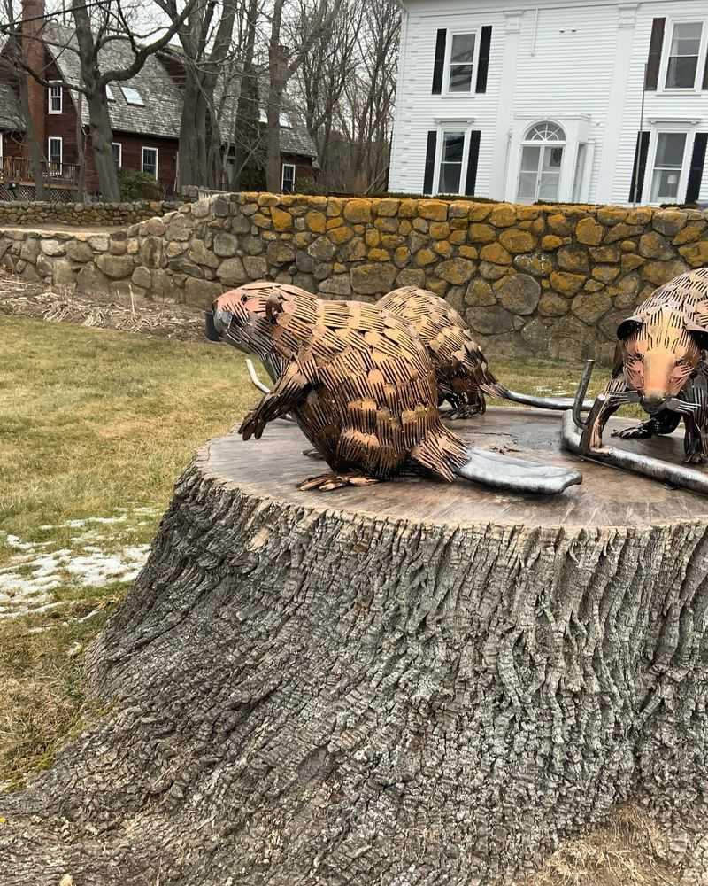 Sculpt A Vermont Wildlife Carving