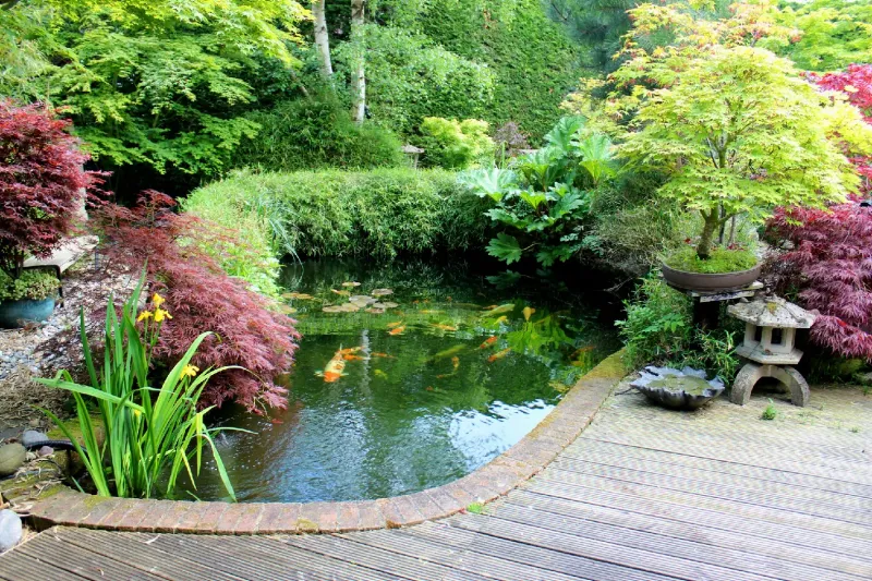 Enhance Water Features