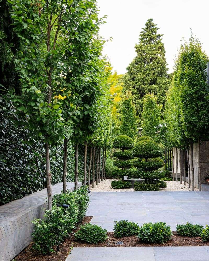 Multi-Layered Canopies With Seasonal Interest