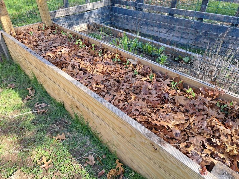 Layer Fallen Leaves As Foundation