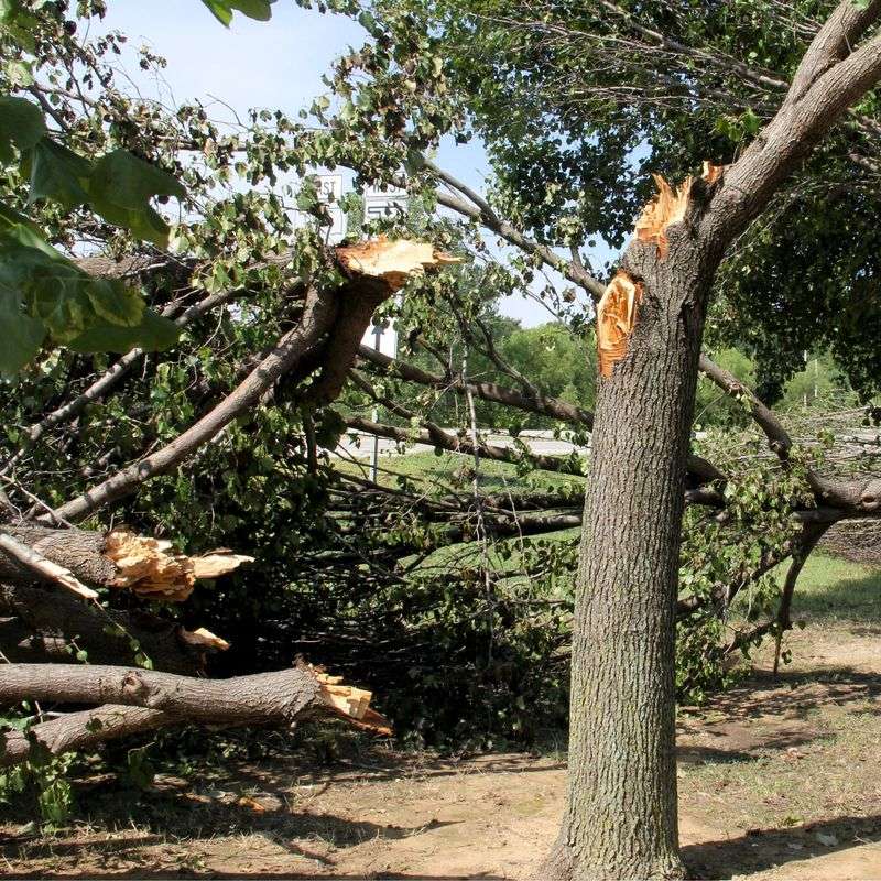 Storm Damage Severity