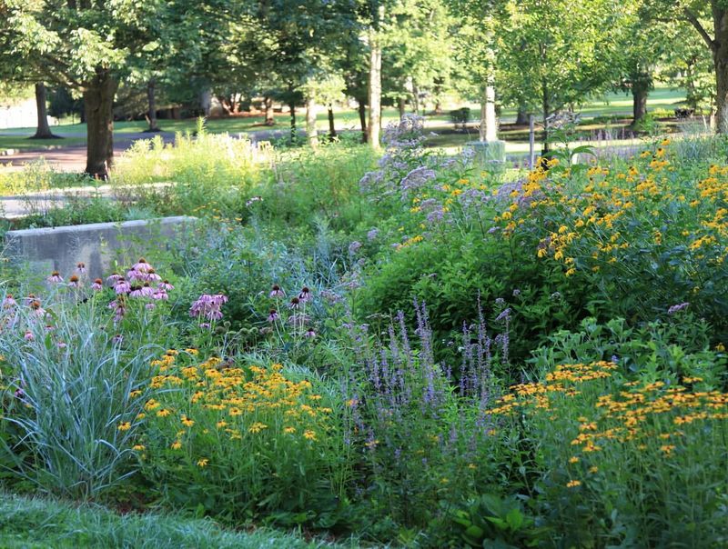 Transform Drainage Swales