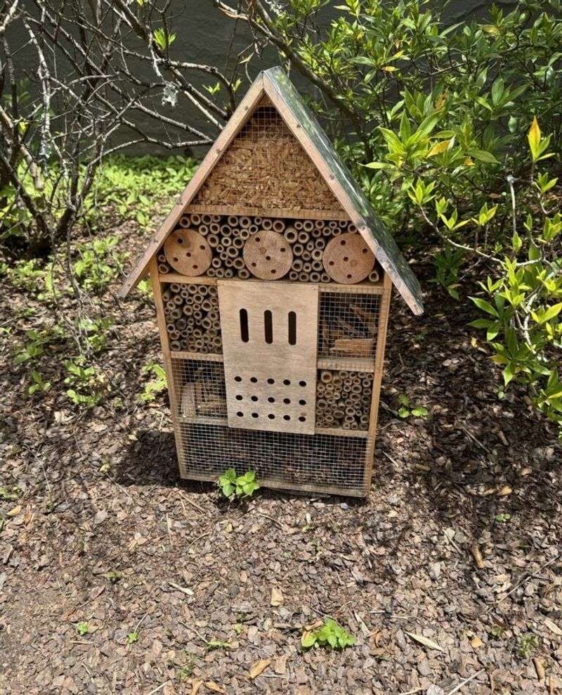 Build Insect Hotels