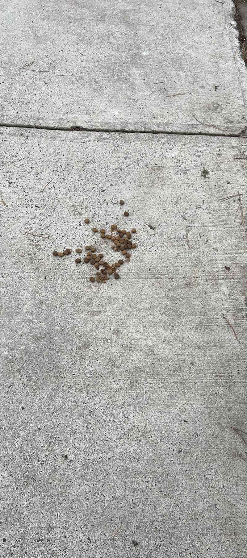 Don't Feed Coyotes
