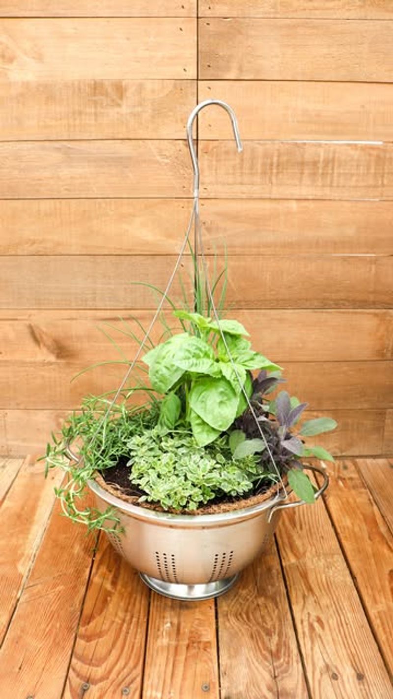 Colander Hanging Planters